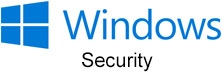 MS Windows Security