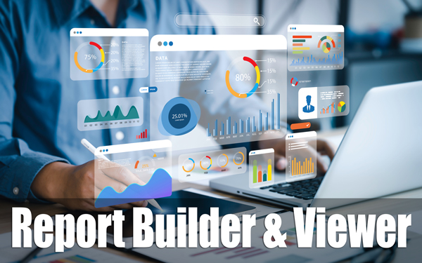 Report Builder-Viewer